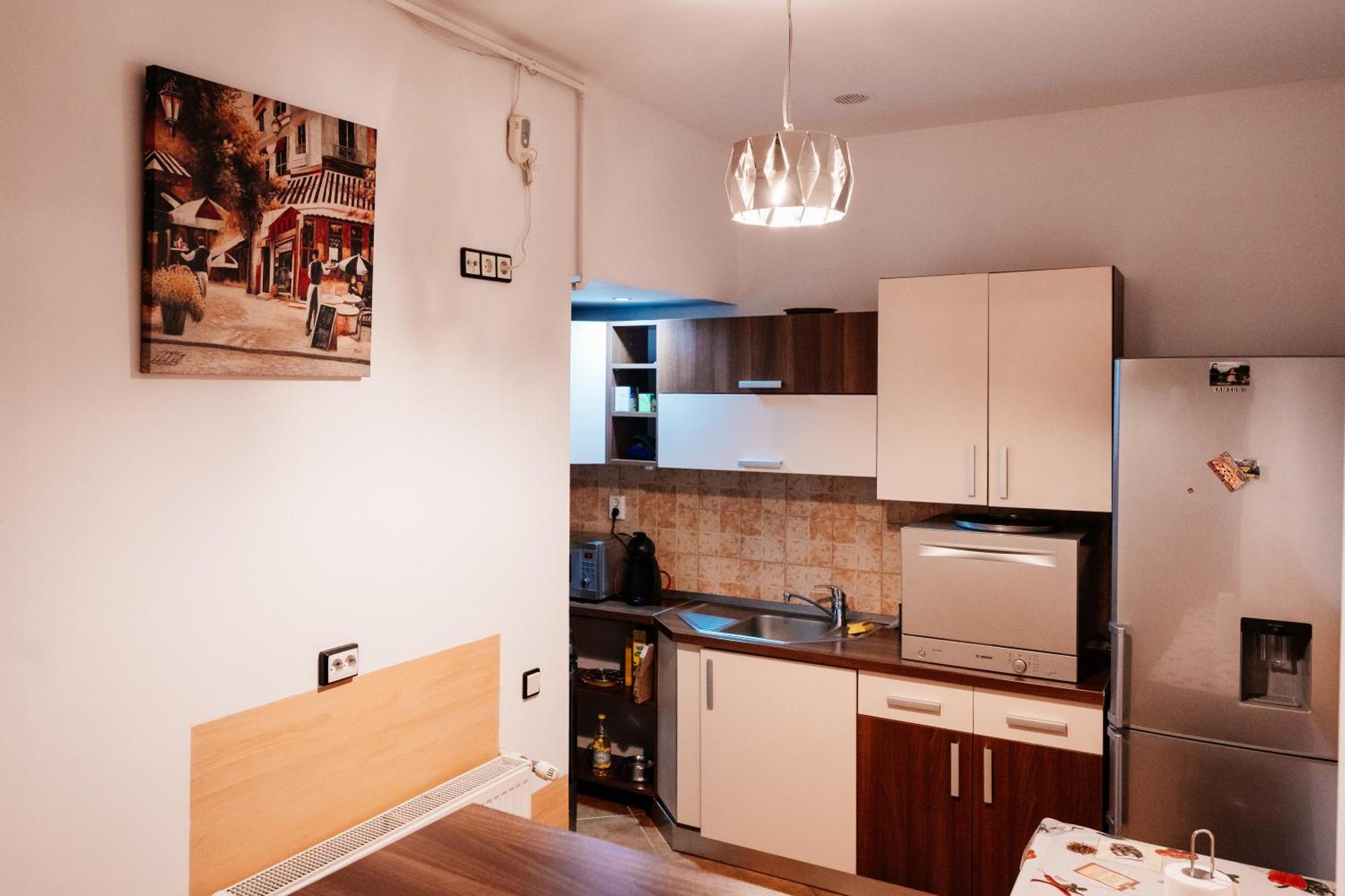 Maan Central Apartment Pet Friendly Location Брашов Екстериор снимка